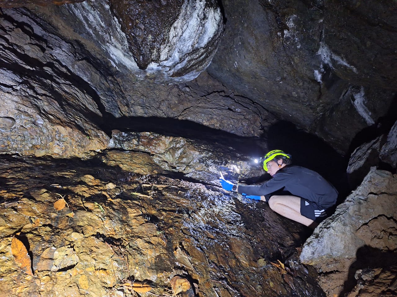 Sebastian Correa-Gallego collecting samples inside a cave in Antioquia, Colombia.